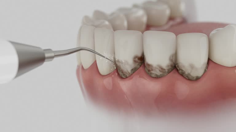 Reliable Dental contractor in Winner, SD by Dentist Open Now